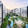 เช่าคอนโดรังสิต ม.กรุงเทพ ,ม.ธรรมศาสตร์(By dmcondo)