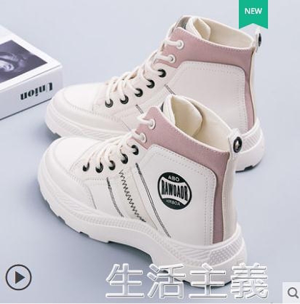 全館免運，支持開發票，外島派送，有疑問可以在商品問與答留言哦~