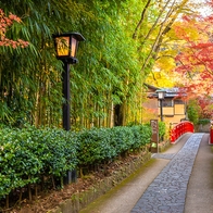 伊豆溫泉鄉「修善寺」必遊景點｜神蹟、愛情、權力遊戲