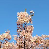 🍁同世代の部屋