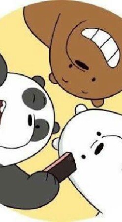 We bear bears