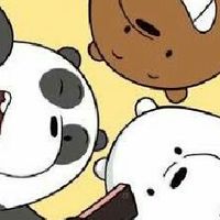 We bear bears