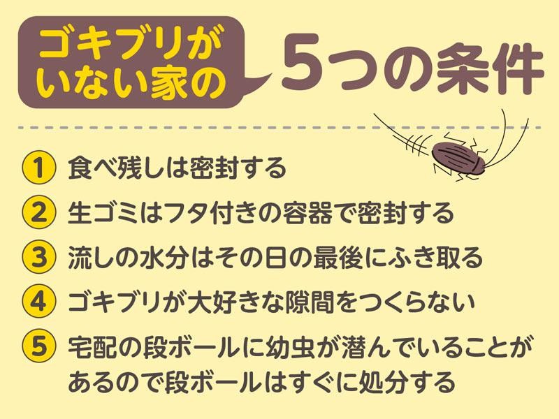 ゴキブリがいない家 5つの条件とは