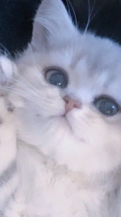 歌枠・セリフ枠・雑談しよー‼️‼️‼️