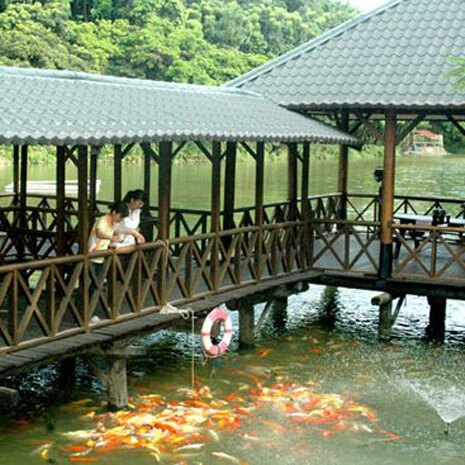 【愛票網】台南南元休閒農場全票(贈高爾夫球球券)。人氣店家愛票網的門票、主題樂園有最棒的商品。快到日本NO.1的Rakuten樂天市場的安全環境中盡情網路購物，使用樂天信用卡選購優惠更划算！