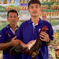 กลุ่ม1เพชรโพธิ์งามสระบุรี