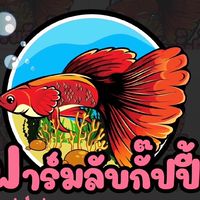 ปลาหางนกยูงสวยๆ (พูดคุย แลกเปลี่ยนปลา)