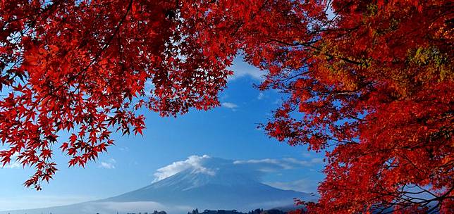 富士山 箱根賞楓 河口湖 箱根 橫濱 高尾山 東京近郊浪漫紅葉景點懶人包 Compathy Magazine Line Today