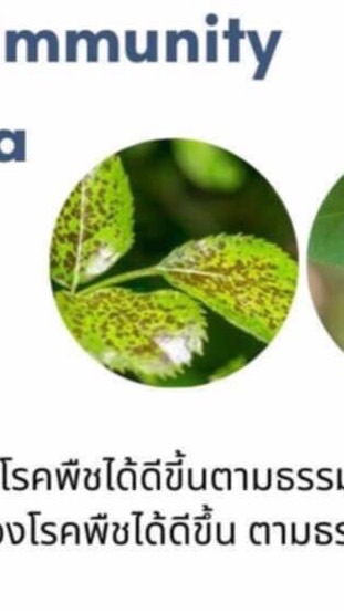 สินค้าปุ๋ยธรรมชาติ