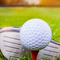 🏒 我一定要學會Golf🏒
