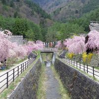 ❤️588水金九攤車服務團（非會員）🌸