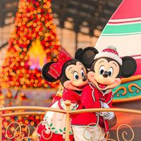 🎄🏰れぴ部💜クリスマスディズニー🏰🎄