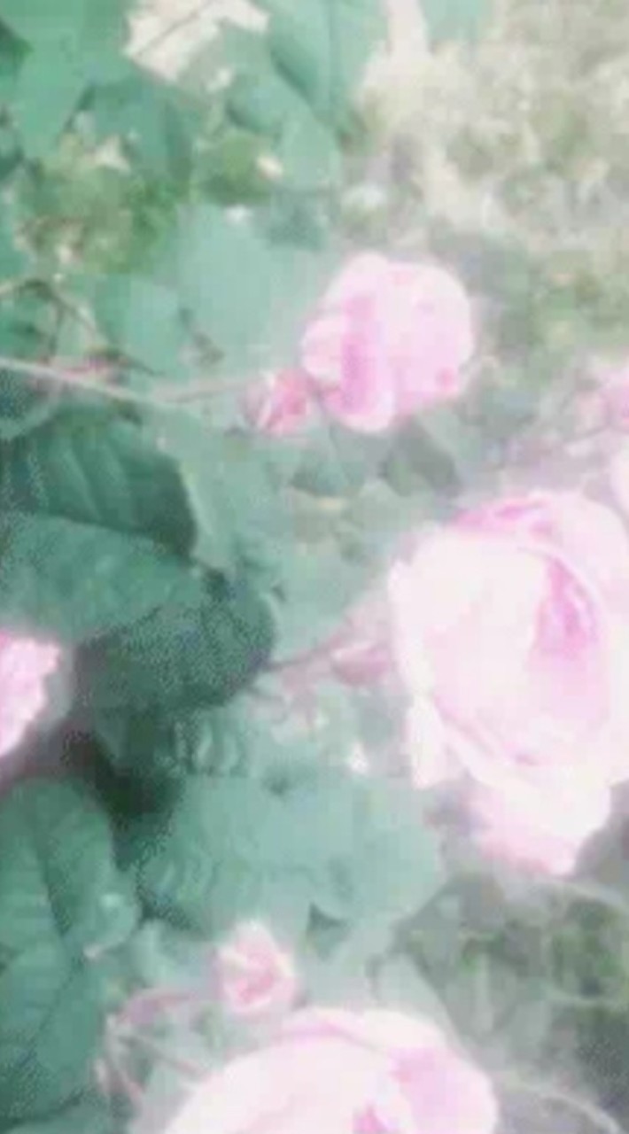 ⠀♡ 魔性少女 ♡⠀