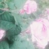 ⠀♡ 魔性少女 ♡⠀