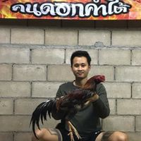 บิ๊กไก่ชน บ่อตกปลาศุภวัฒน์$หนุ่มใต้หวันฟาร์ม