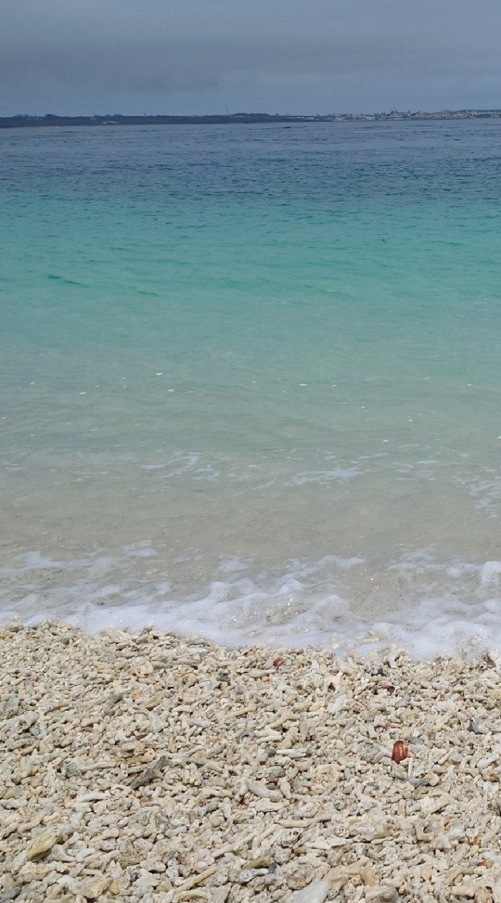 人生海海99