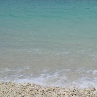 人生海海99