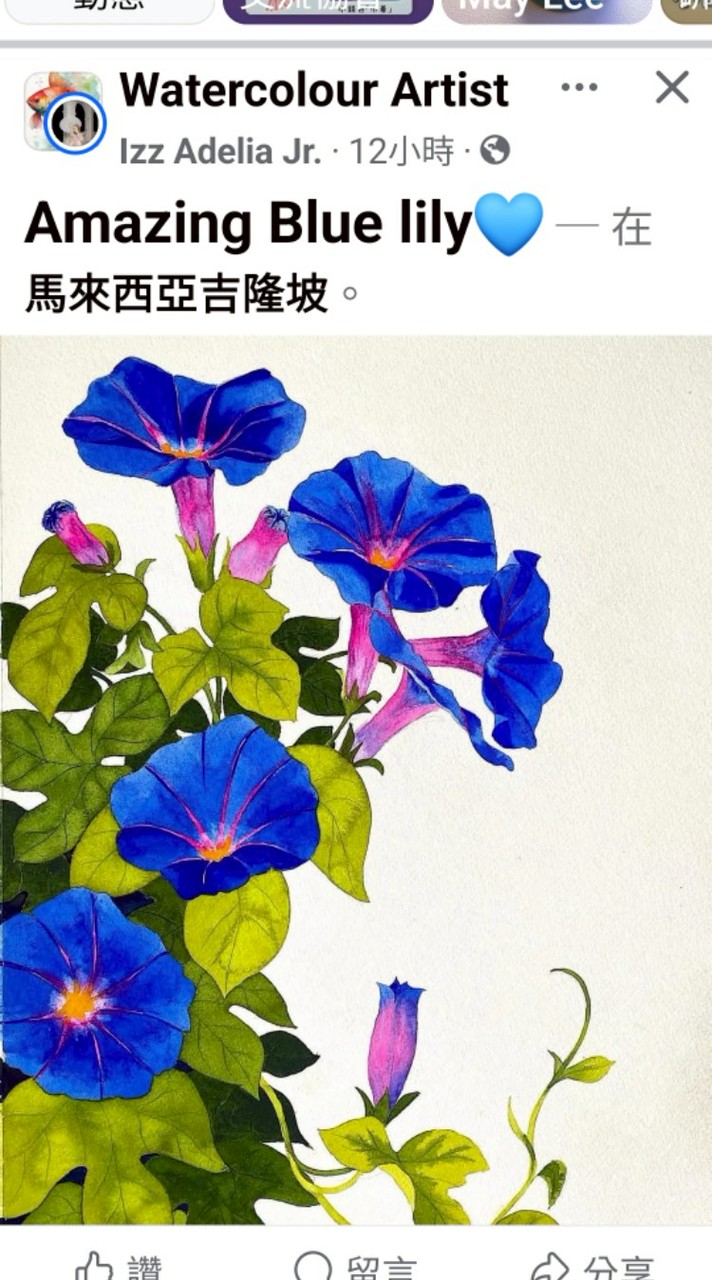 佳佳樂活團