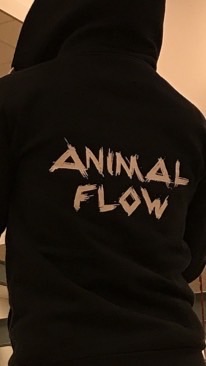 台南動物流Animal Flow in Tainan