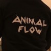 台南動物流Animal Flow in Tainan