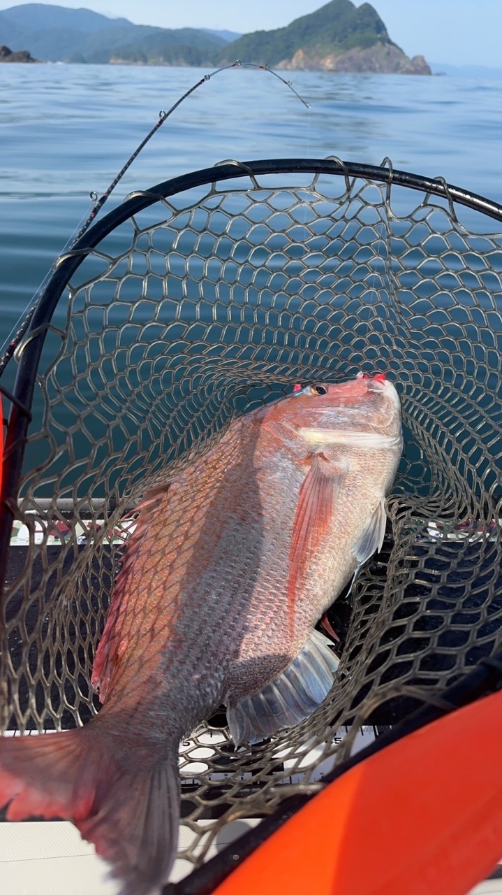 2馬力からのゴムボ釣行