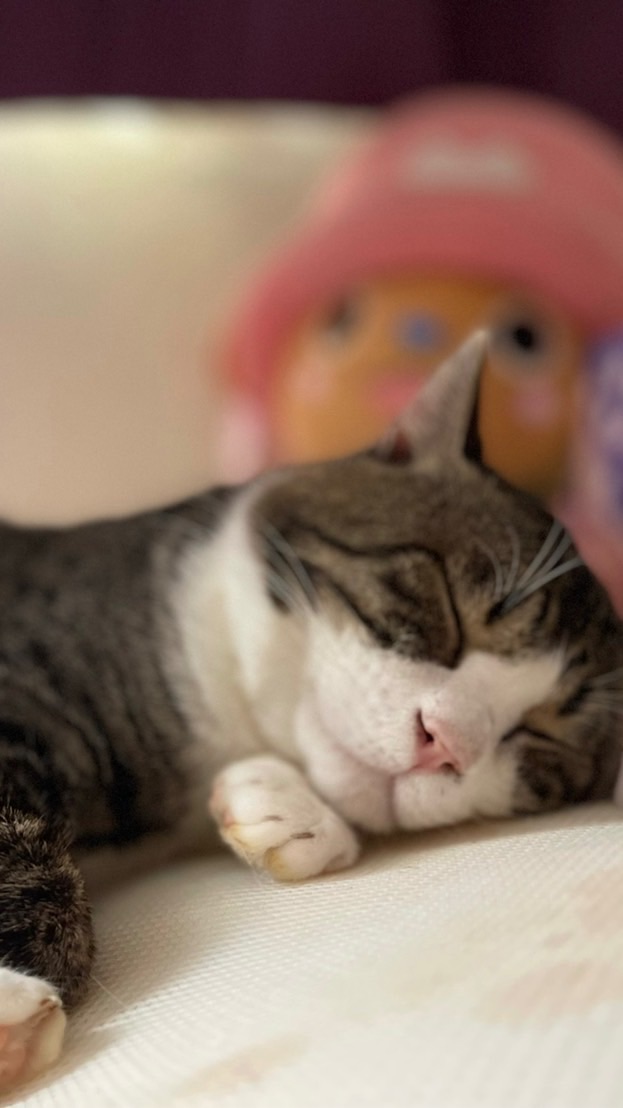 ゆうちゃんのオプチャのオープンチャット