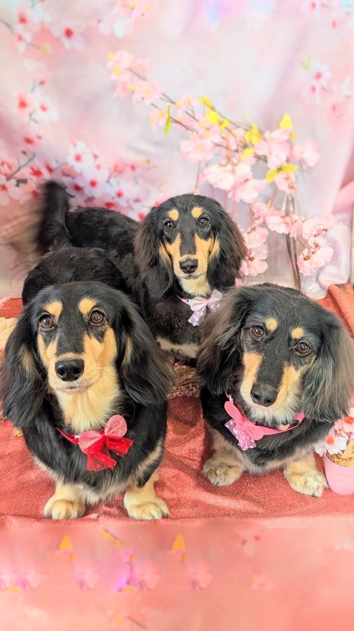 ノンビリーダックスオフ会