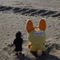 盤🦊