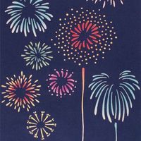 花火をシェアしようクラブ