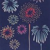 花火をシェアしようクラブ