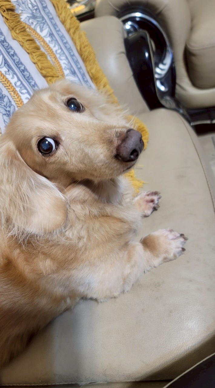 美麗創業商學院(外泌体)