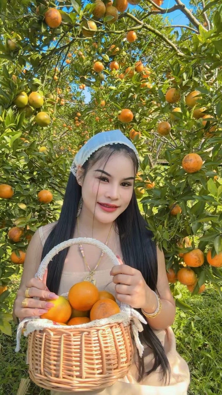 ญี่ปุ่นสายบุ๋มพาบิน🇯🇵🏯