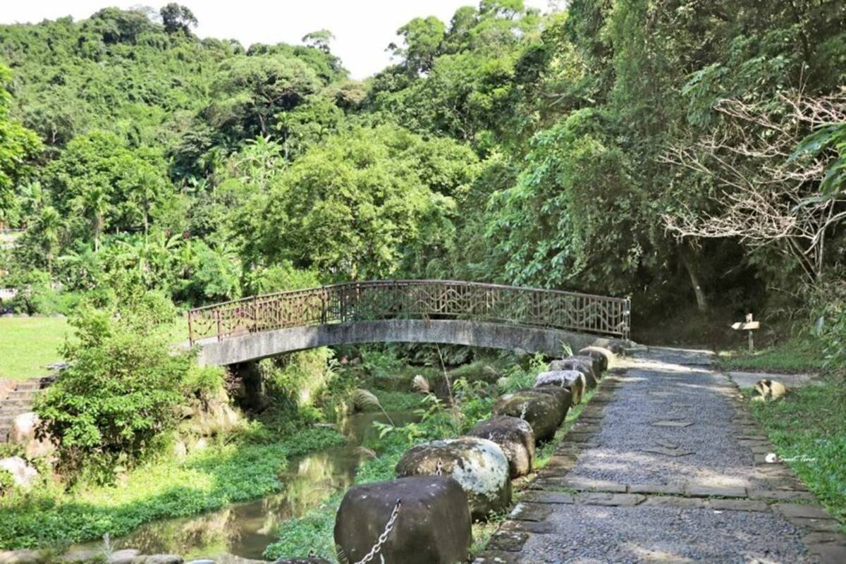 輕鬆好走不費力！內湖６條森林步道：80米「S型空中長廊」、紫色龍形吊橋