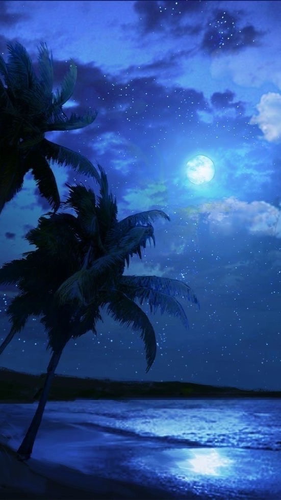 🏝常夏幻想奇譚🏝〘全也聖杯戦争/炉留必須〙