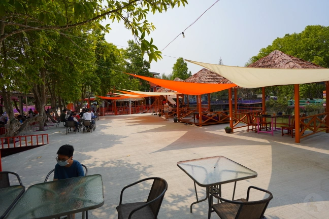 中部景點,斗六景點,斗六花旗木,近水樓台,近水樓台湖畔森林咖啡,近水樓台湖畔森林咖啡交通資訊,近水樓台湖畔森林咖啡停車場,近水樓台湖畔森林咖啡停車場花旗木,近水樓台湖畔森林咖啡門票,雲林IG打卡點,雲林景點,雲林網美景點,雲林花旗木近水樓台湖畔森林咖啡花旗木