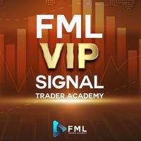 FML​ VIP​ Signal​ Trader​ Academy