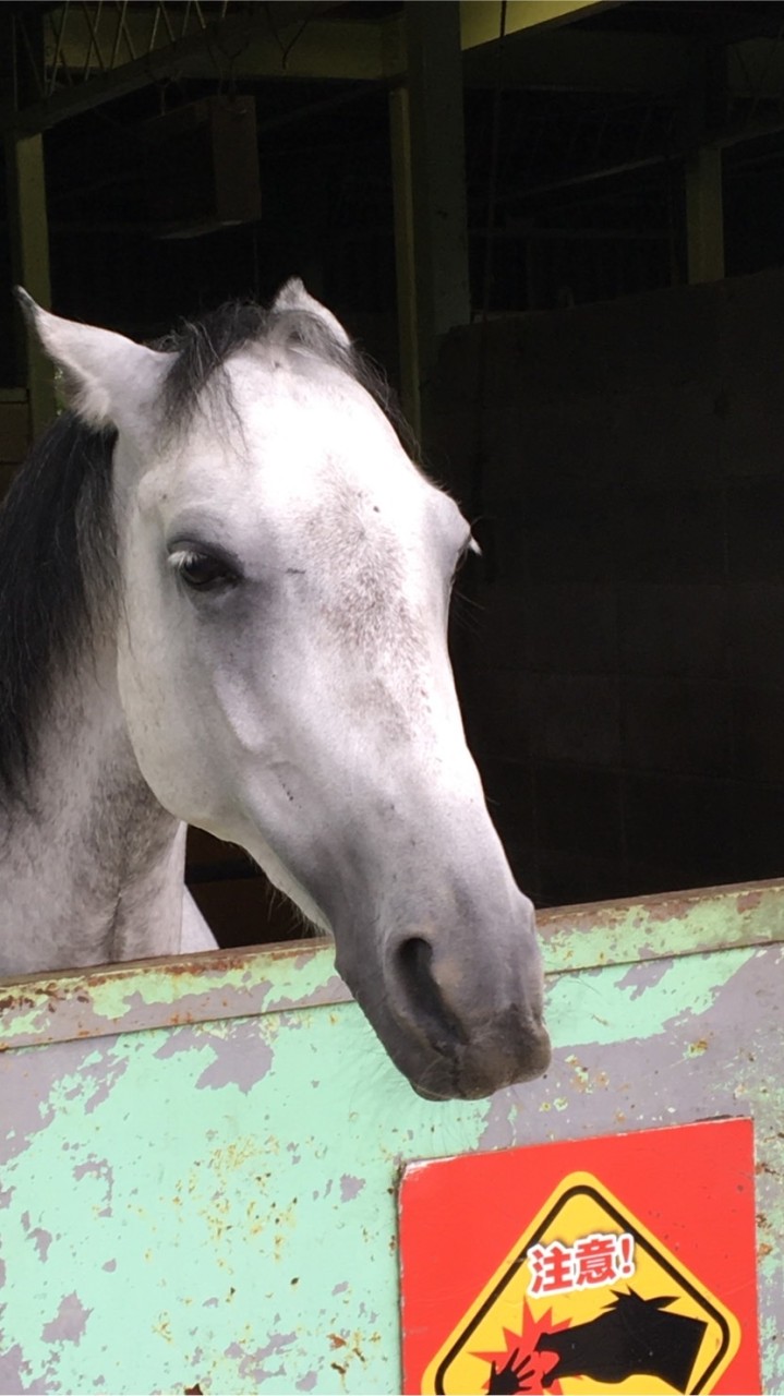 活動する人の競馬チャットのオープンチャット