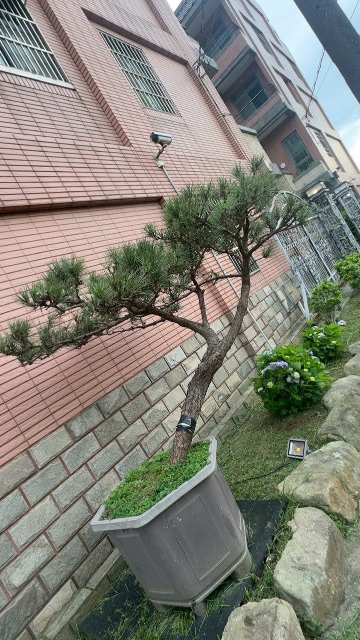 中壢龍岡二寶的童書