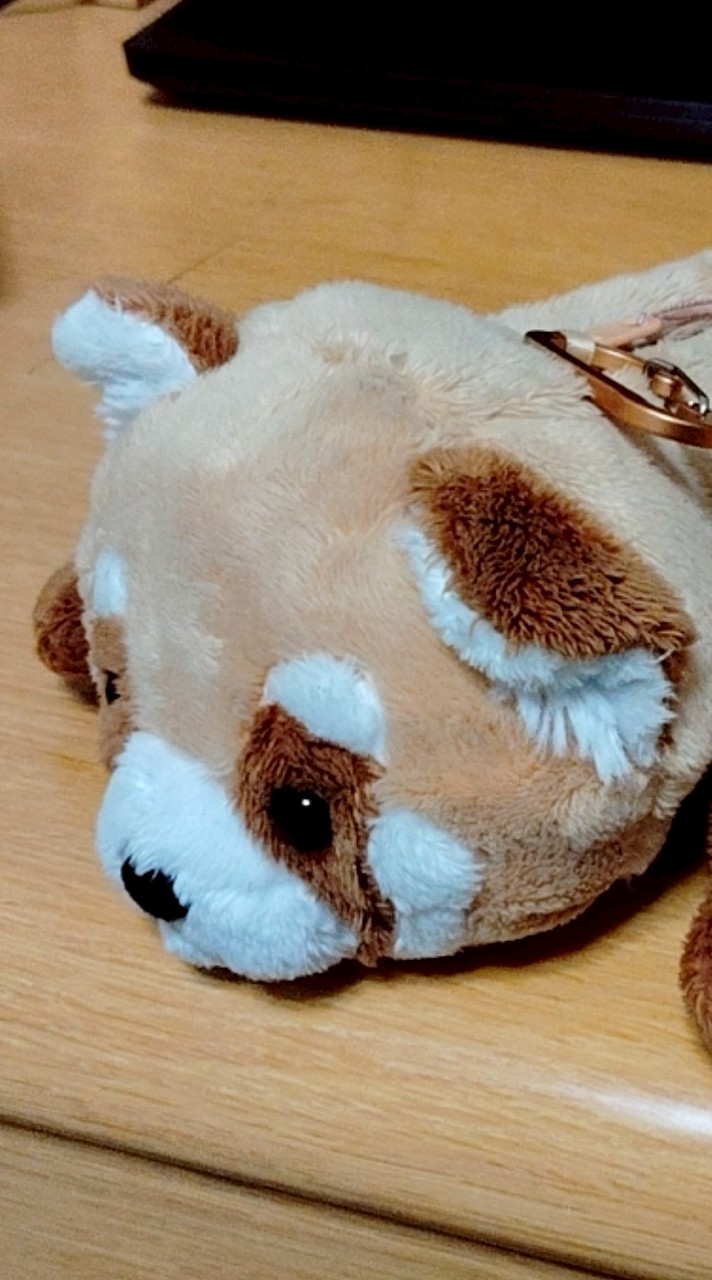 にたまごのデスボールオプ　50人で配布します！