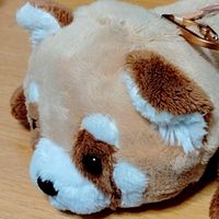 にたまごのデスボールオプ　6月小型イベント開催中
