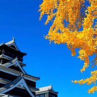 高級時計好きの集まり👑