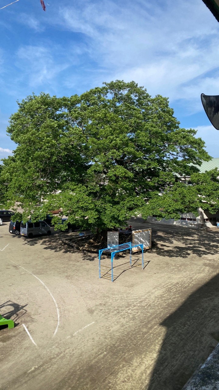 高山小学校　PTA総務部