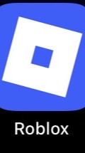 คนเล่น Roblox