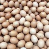 慶陽蛋工坊-豐世紀4D-11