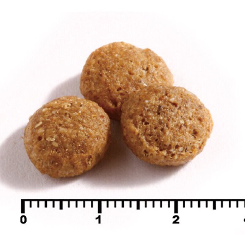 魏大夫 高齡養生配方(雞肉+糙米) 七歲以上成犬/肥胖犬/結紮犬適用 狗飼料 老犬飼料 減肥犬飼料