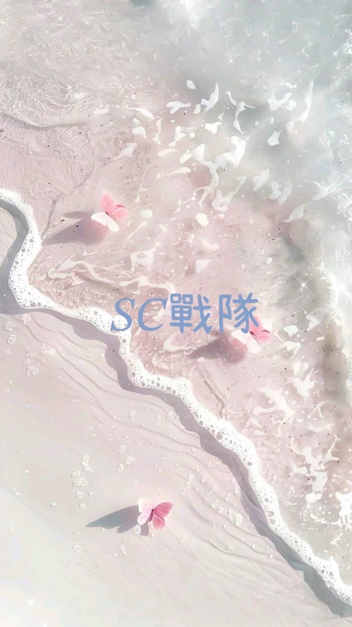 𝑆𝐶戰隊