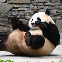 寶家一家親