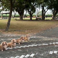 24.1.13 高雄教學活動