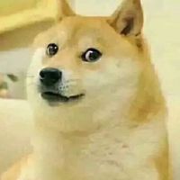 處閨蜜找cp一起來聊天
