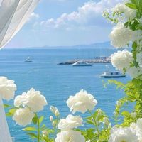 🫧🍓ゆっくり雑談🍓🫧大人のための🍀癒しRoom🏡